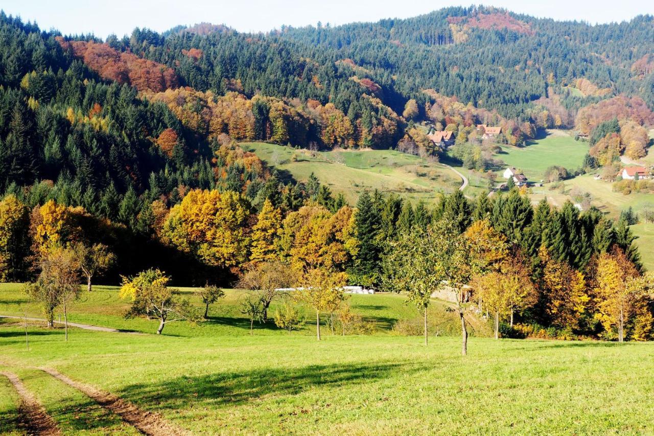 Ferienwohnung Schnurrenhof Seebach Exterior foto