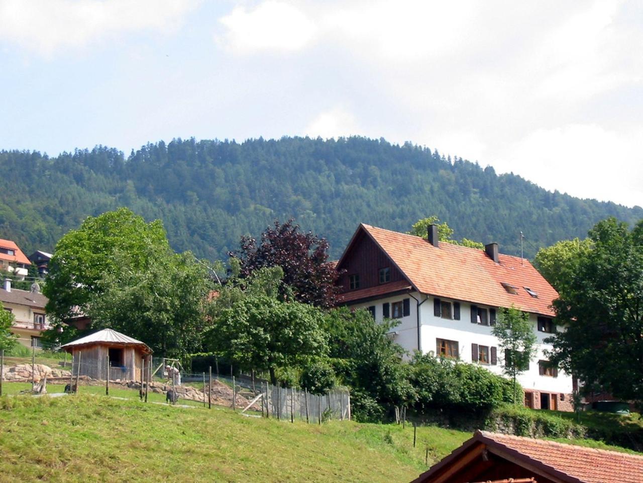 Ferienwohnung Schnurrenhof Seebach Exterior foto