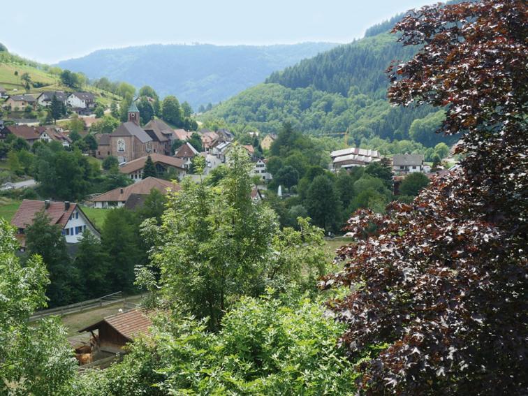 Ferienwohnung Schnurrenhof Seebach Exterior foto